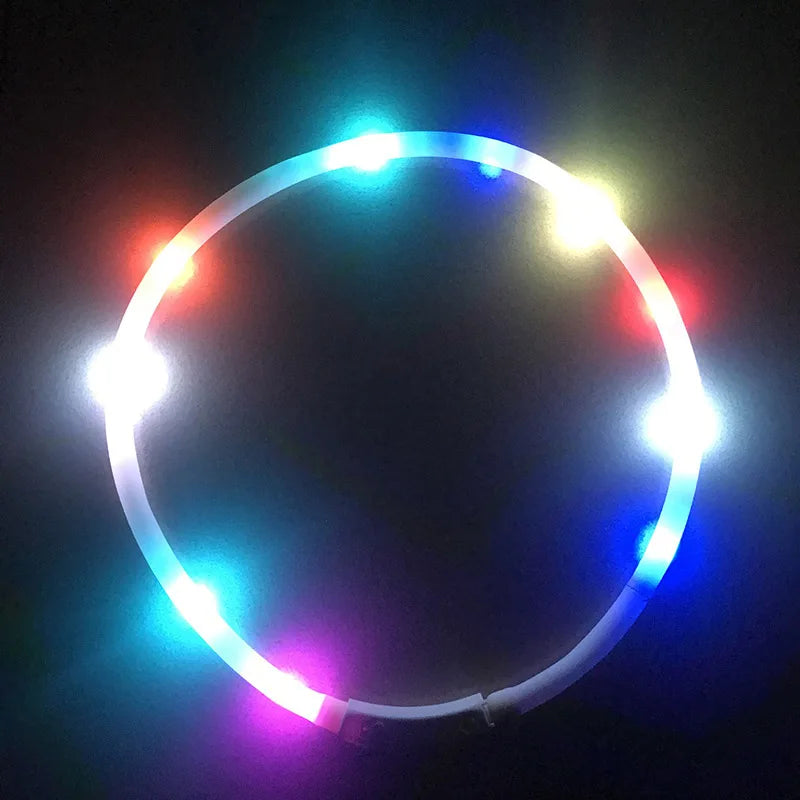 Leuchtendes LED Hundehalsband