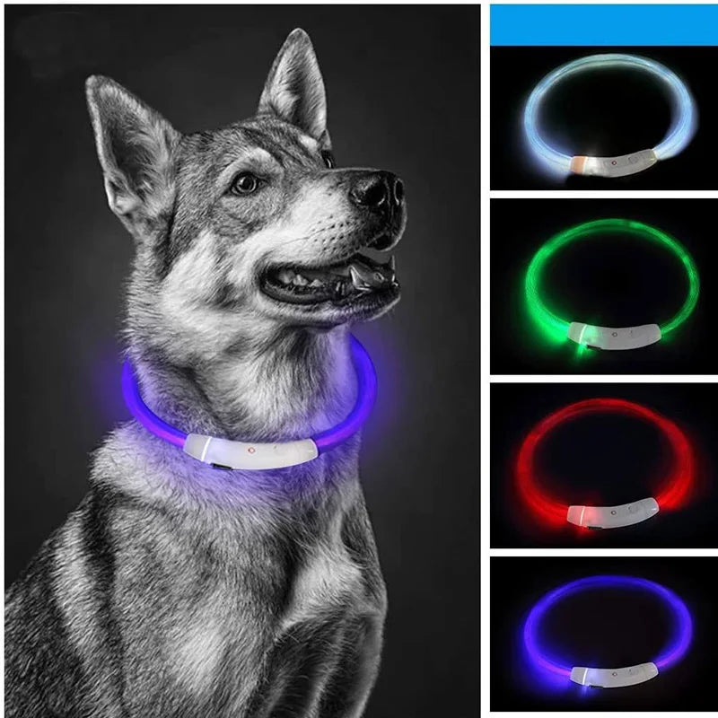 Leuchtendes LED Hundehalsband