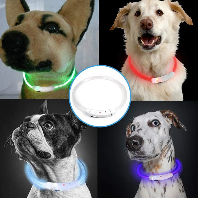 Leuchtendes LED Hundehalsband